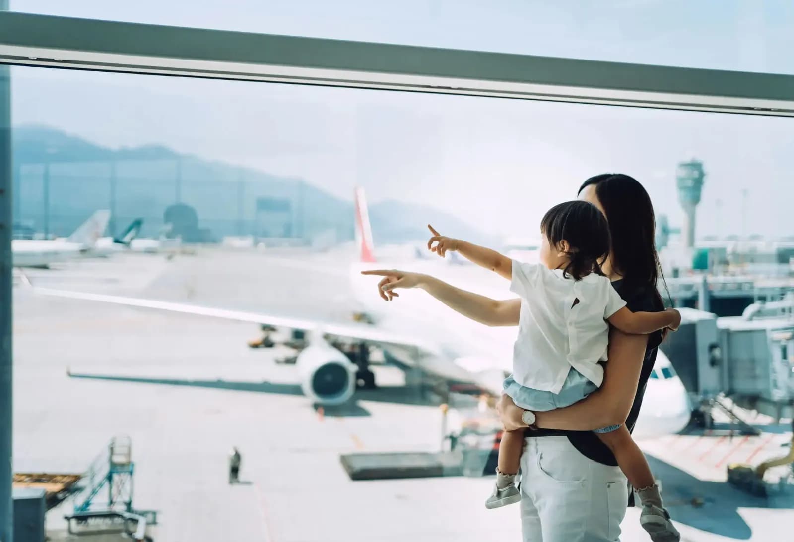 What is a Flight Price Tracker